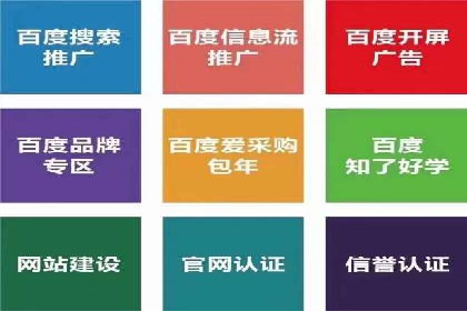 百度竞价价格解析，成功案例分享